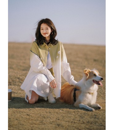 سلسلة ساحر أوز المطرزة قميص كاجوال تنورة على شكل حرف A 