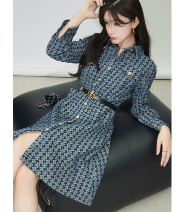 Gold coin denim skirt design sense printed shirt skirt