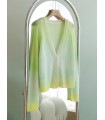 Pull dégradé printanier Cardigan doux col V
