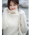 Minimalist Style Versatile Turtleneck Sweater Women's Inner Top 