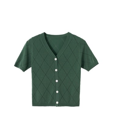 Gebreid vest met korte mouwen en V-hals 