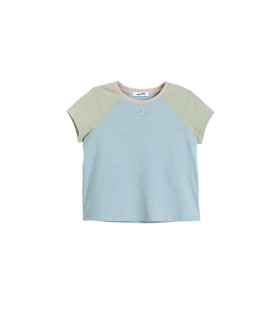 Round Neck Contrasting Color Raglan Sleeve Short T-Shirt 